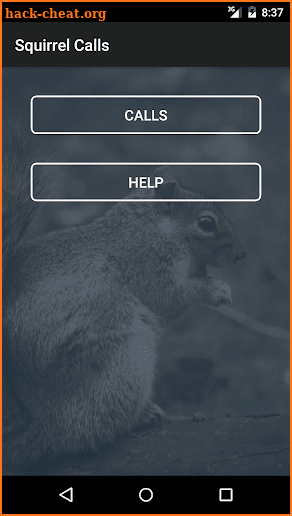 Squirrel Calls screenshot