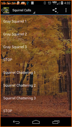 Squirrel Calls 2 screenshot