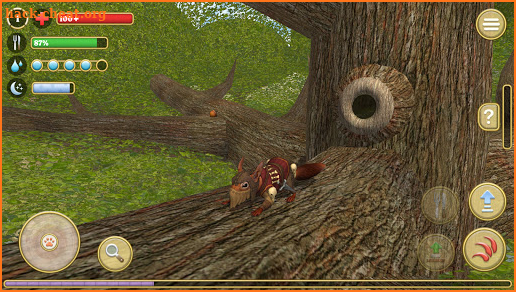 Squirrel Simulator 2 : Online screenshot