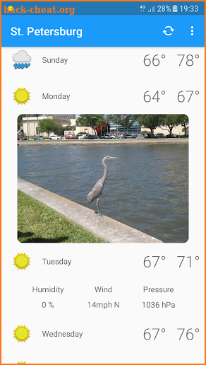 St. Petersburg, FL - weather and more screenshot