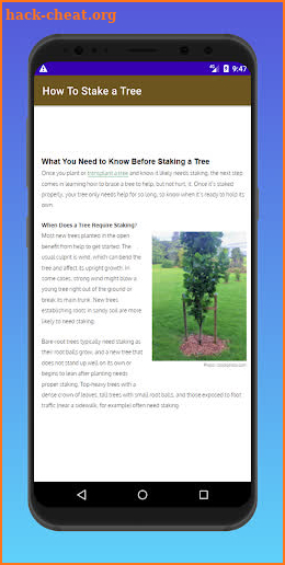 Stake a Tree screenshot