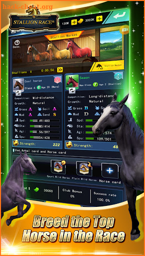 Stallion Race screenshot