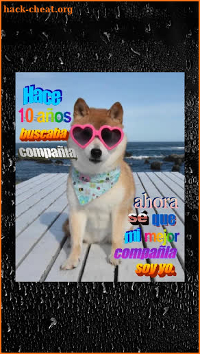 Stickers de Perros con Frases para WhatsApp screenshot