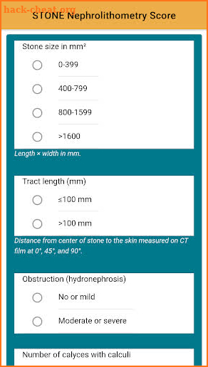 STONE Nephrolithometry - Kidney Stone in Urology screenshot