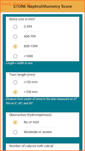 STONE Nephrolithometry - Kidney Stone in Urology screenshot