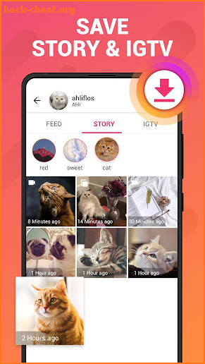 Story Saver for Instagram - Video Downloader screenshot