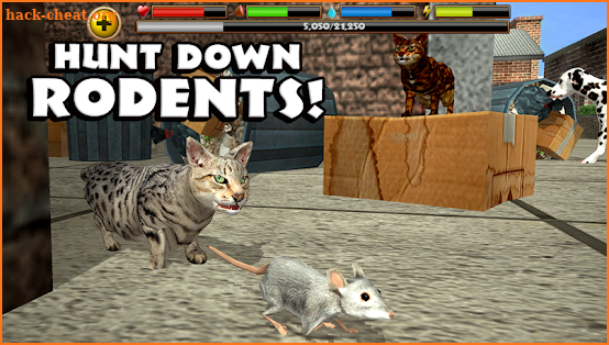 Stray Cat Simulator screenshot