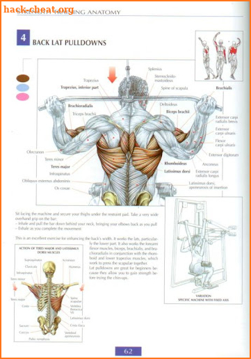 Strength Training Anatomy book screenshot