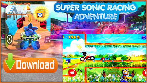 Subway Kart Hedgehod adventure screenshot