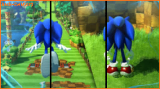 Subway Sonik Flash Hedgehog Jump: 3D Adventures screenshot