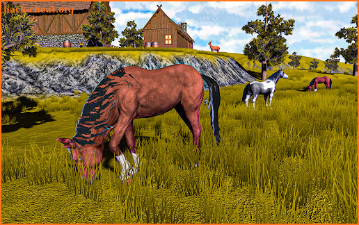 Summer Horse Simulator 3D screenshot