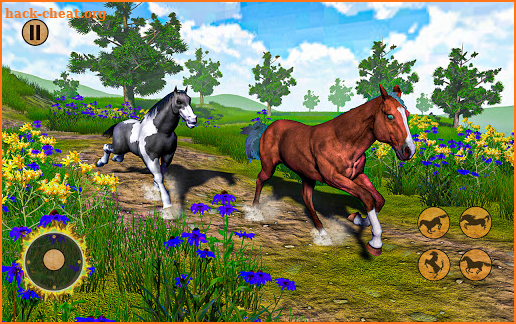 Summer Horse Simulator – Horse Riding Simulator 3D screenshot