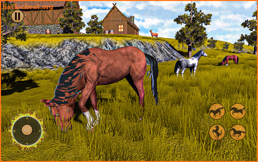 Summer Horse Simulator – Horse Riding Simulator 3D screenshot