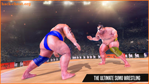 Sumo Wrestling Fight Arena screenshot