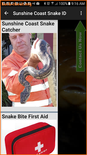 Sunshine Coast Snake ID screenshot