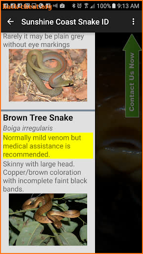 Sunshine Coast Snake ID screenshot