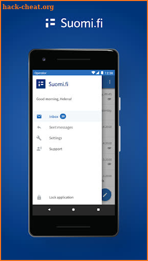 Suomi.fi screenshot