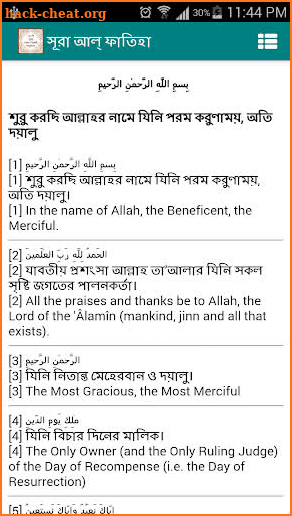 ১১৪ টি সূরা অর্থসহ (Surah) screenshot