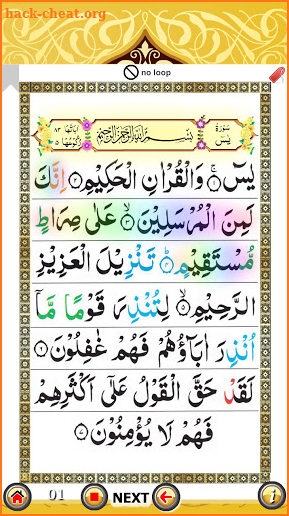 Surah Yaseen with Sound ( سورة يس) screenshot