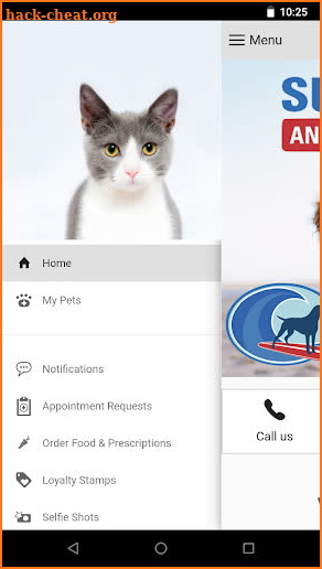 Surfside Vet screenshot