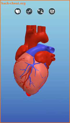 Surgeon 3D screenshot