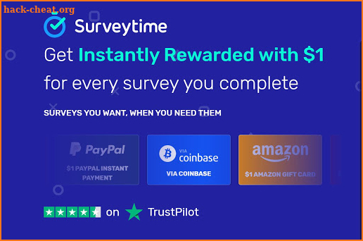 Surveytime screenshot