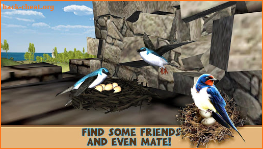 Swallow Simulator - Flying Bird Adventure screenshot