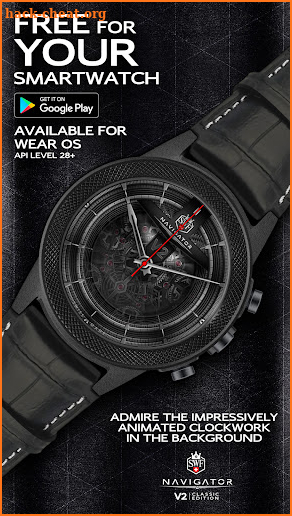 SWF Navigator Analog Watch Fac screenshot