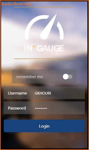 Swift In*Gauge screenshot