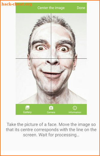 Symmetry. Funny face screenshot