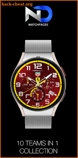 Tag Heuer Fans Formula 10 in 1 screenshot