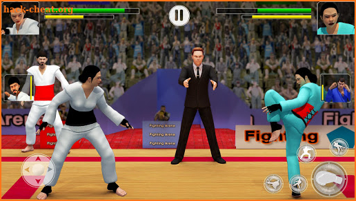 Tag Team Karate Fighting Tiger: World Kung Fu King screenshot