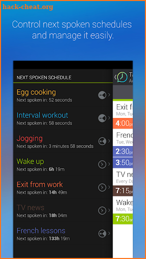 Talking Clock & Timer Pro screenshot