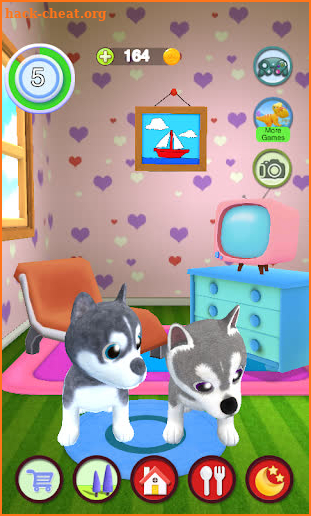 Talking Husky Dog screenshot