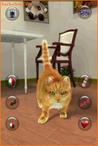 Talking Lovely Cat screenshot