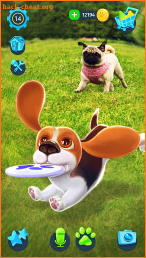 Tamadog - My talking Dog Game (AR) screenshot