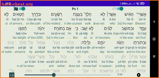 Tanakh Read Along screenshot