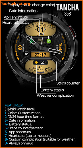 Tancha 58 Hybrid Watch Face screenshot