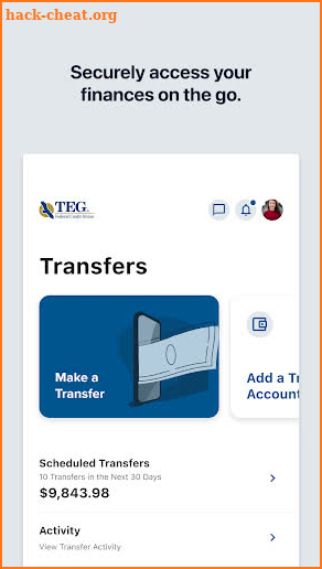 TEG Federal Credit Union screenshot