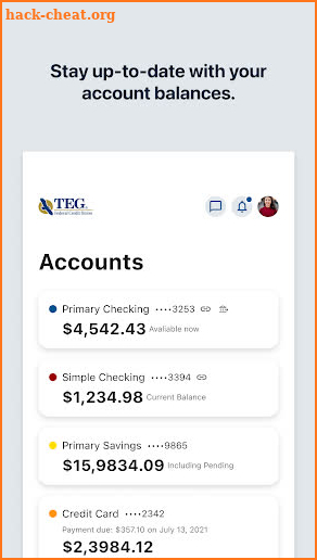 TEG Federal Credit Union screenshot