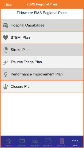 TEMS Protocols screenshot