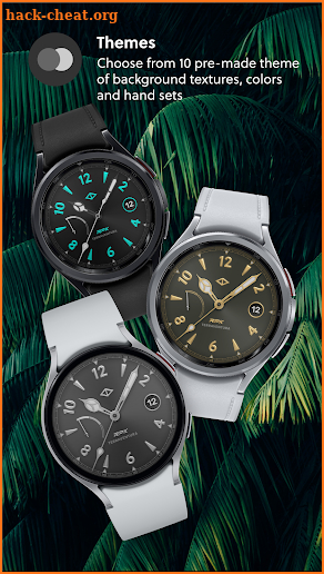 Terraventura Analog Watch Face screenshot