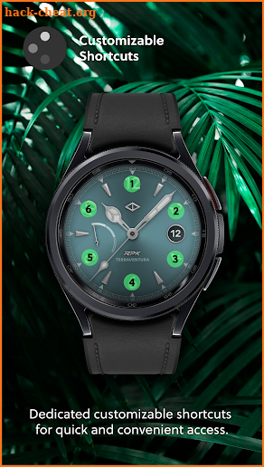 Terraventura Analog Watch Face screenshot