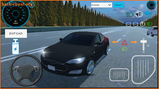 Tesla Car Game screenshot