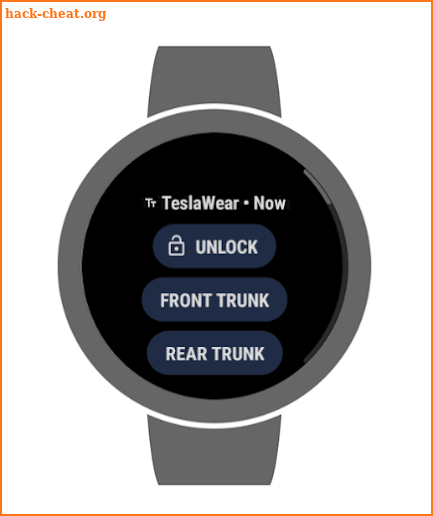 TeslaWear screenshot