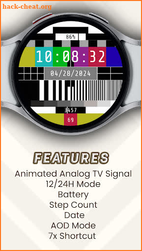 Test Pattern Watch Face screenshot