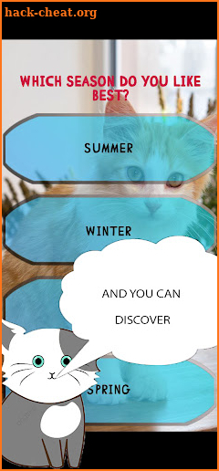 Test What kind of cat are you? screenshot