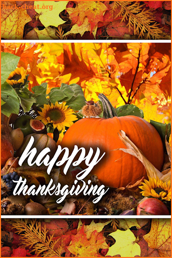 Thanksgiving Greeting Cards screenshot