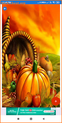 Thanksgiving Wallpaper: HD images Free download screenshot