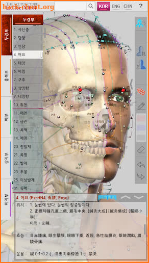 The Acupuncture of Extra Point screenshot